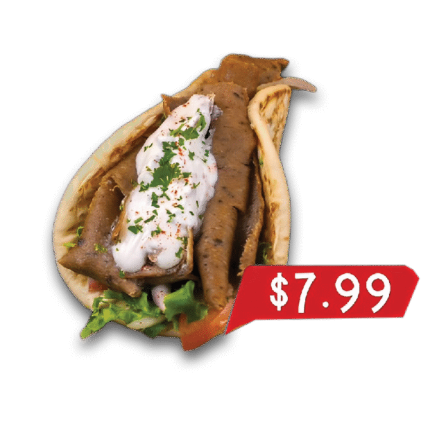 Gyro Sandwich